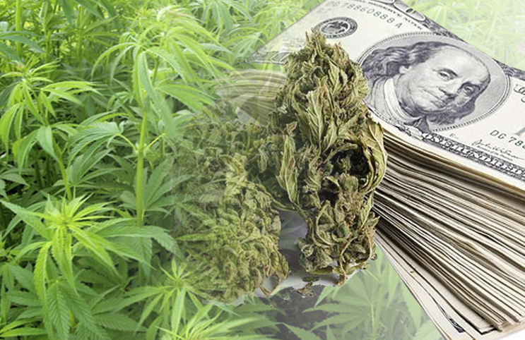marijuana stocks august 21 2017