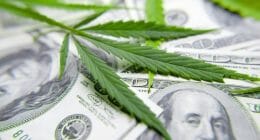 make money marijuana stocks