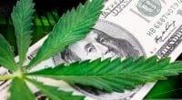 marijuana stocks news