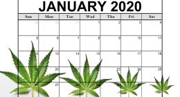 january stock list