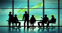 Pot stock to watch