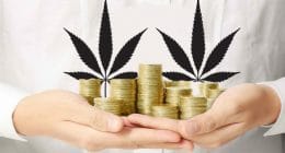 pot stock pay off