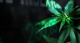 Top Performing Cannabis Stocks