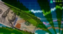 Long Term Marijuana Stocks