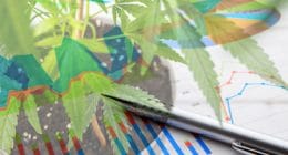 Pot Stock Stock Chart