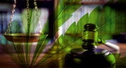 Marijuana Legalization 2020
