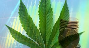 Marijuana Penny Stocks To Watch