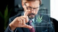 Top Marijuana Stocks To Watch Right Now