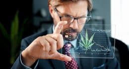 Top Marijuana Stocks To Watch Right Now
