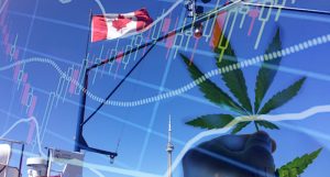Top Canadian Marijuana Stocks In August 2022