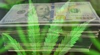 All Time Highs For Marijuana Stocks in 2021