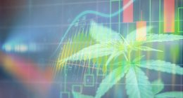 Best Marijuana Stocks To Buy Today In The Market