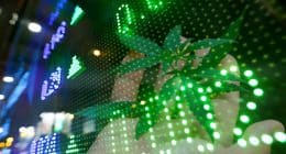Marijuana Stocks To Watch Third Week In March