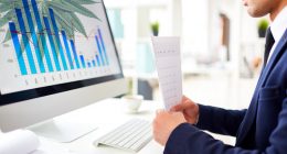 The Best Cannabis Stocks In 2021 For Your Portfolio