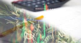 Best Cannabis Stocks First Week In September 2021