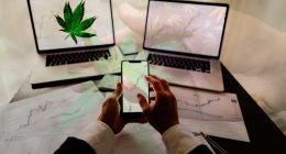 Top US Pot Stocks In 2021