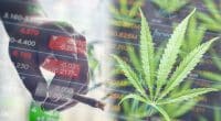 Best Cannabis Stocks In 2021 Right Now