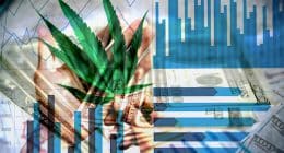 Best Marijuana Stocks To Watch In 2023