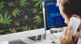Cannabis Stocks For Your Watchlist Today