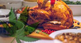 Top Cannabis Stocks to Watch After Thanksgiving: US Market Insights