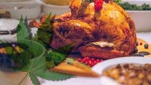 Top Cannabis Stocks to Watch After Thanksgiving: US Market Insights
