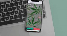 Best Pot Stocks For January 2022