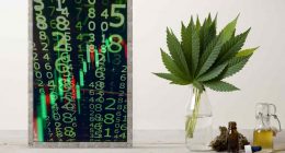 Top Pot Stocks To Buy In 2023