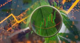 Best Ancillary Cannabis Stocks for February: Strong Picks in Real Estate, Tech, and Equipment