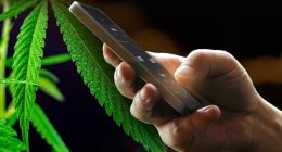 High-Potential Ancillary Cannabis Stocks to Watch in February 2025