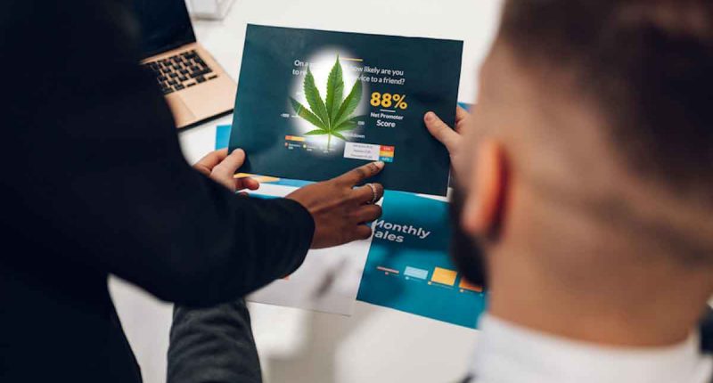 Best Marijuana Stocks For 2024