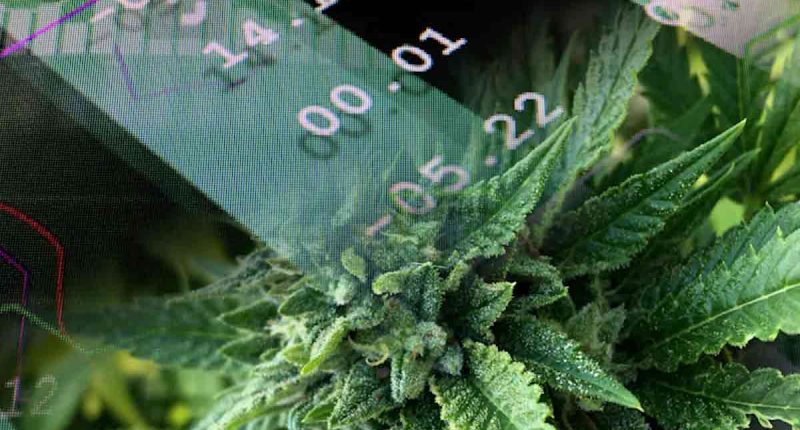 Top Cannabis Stocks For June 2025
