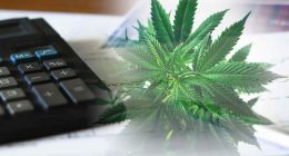 Cannabis Industry's Real Estate Goldmine: Leading REITs in 2024