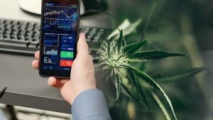 Top Canadian Cannabis Stocks to Follow Next Week