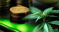 Top 3 Marijuana Penny Stocks to Watch Post-Thanksgiving