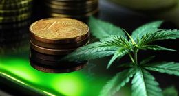 Top 3 Marijuana Penny Stocks to Watch Post-Thanksgiving