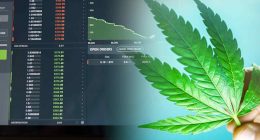 Best Cannabis Stocks For March This Week