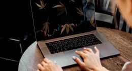 Top Marijuana Stocks For Your Long Term Portfolio In 2022