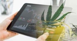 Cannabis Stocks For May 2025 Watchlist