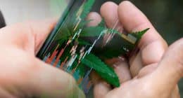 Top Ancillary Cannabis Stocks For June 2025
