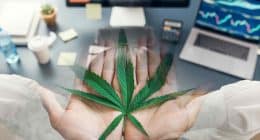Top Canadian Cannabis Contenders: Stocks to Watch Before June 2025