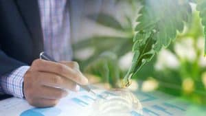 Are These Top Marijuana Stocks A Buy? 2 To Watch Right Now
