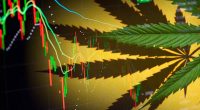 Top Marijuana Stocks 2nd Week Of May 2025