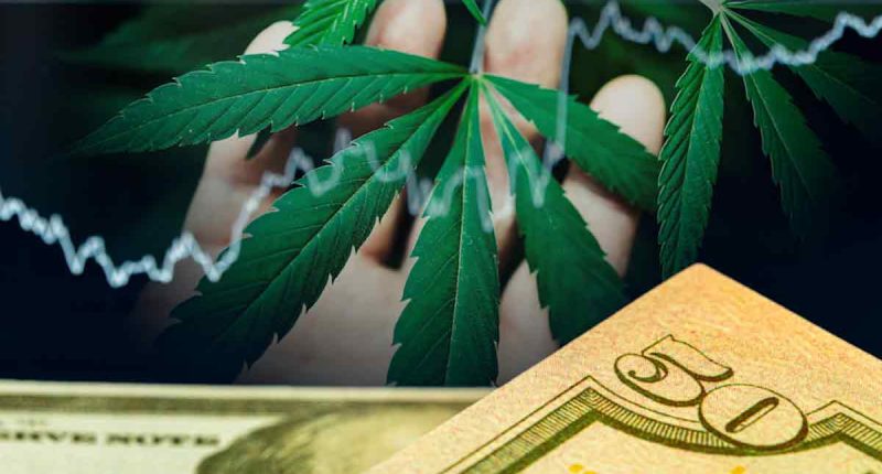 Top Marijuana Stocks to Watch After Recent Market Pullbacks
