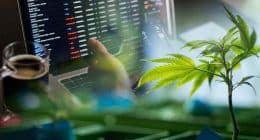 Best Cannabis Stocks To Buy In September