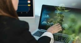 Best Cannabis REITs for Investors Watchlist In 2024