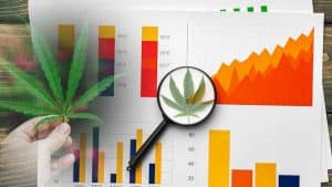 Top Canadian Cannabis Stocks to Track as U.S. Legalization Heats Up