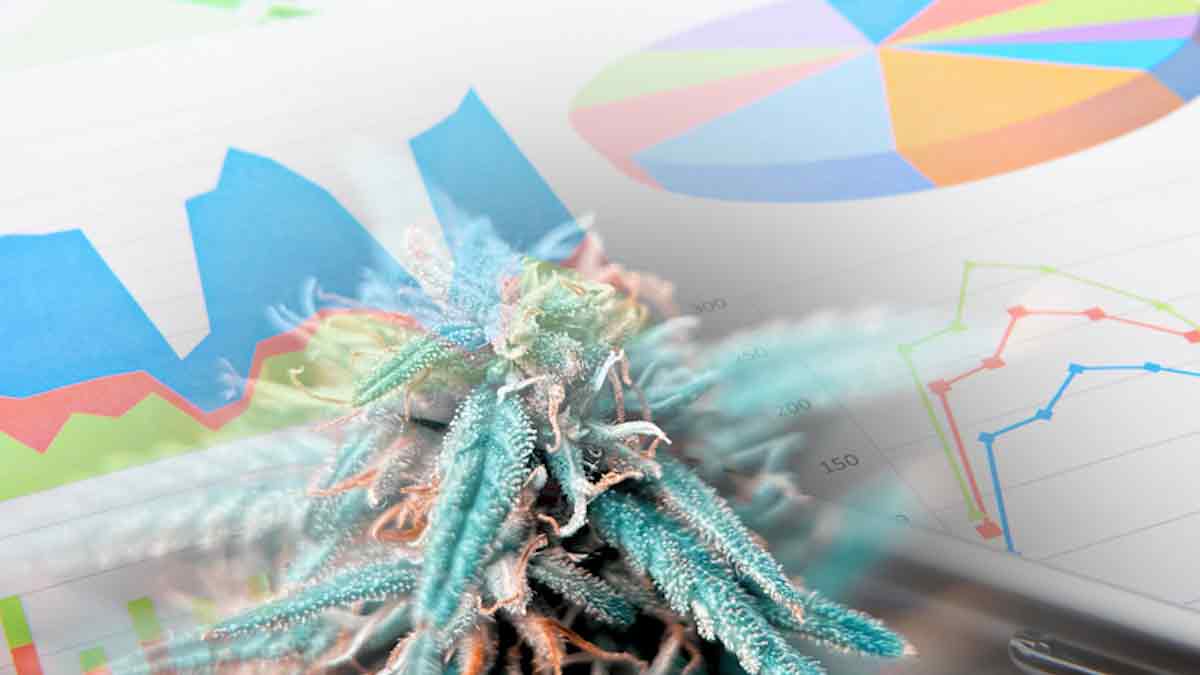 June 2025 Watchlist: Best Ancillary Cannabis Stocks for Smart Investors