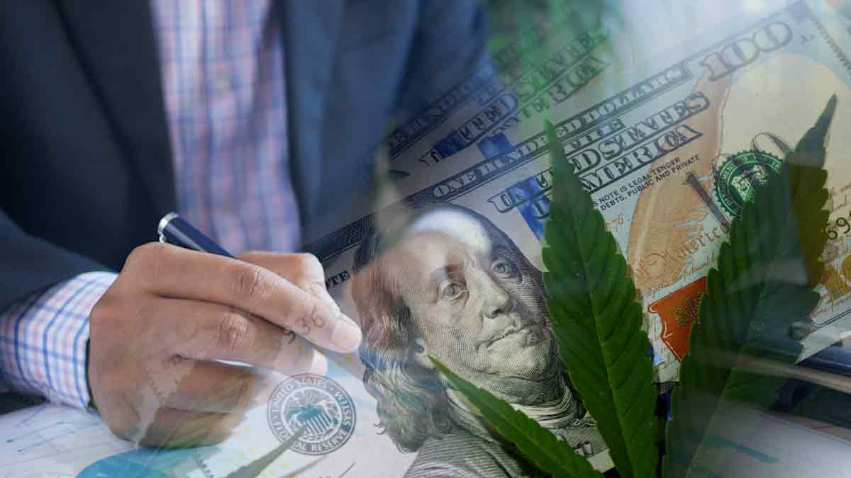 US Marijuana Stocks with High Growth Prospects for 2025
