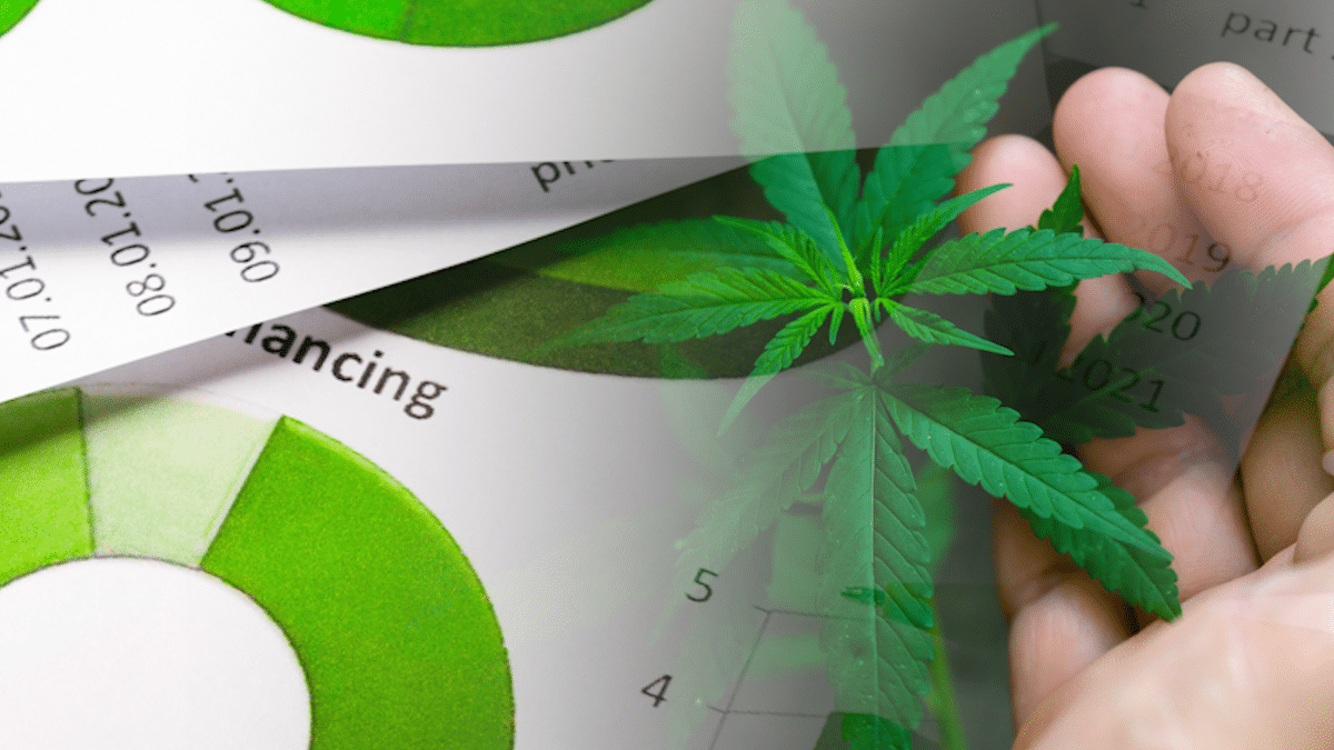 Best Pot Stocks In January 2025