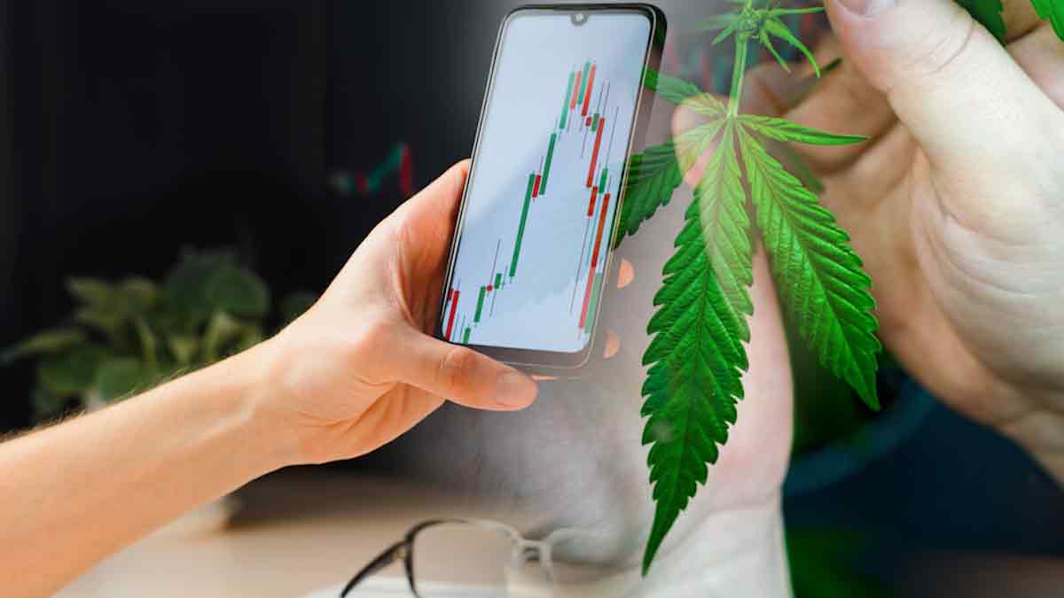 Investing in Cannabis: Best U.S. Marijuana Stocks to Track in March 2025
